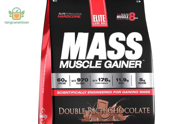 Cách Chọn Mass Tăng Cân Phù Hợp