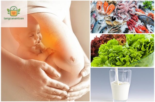 Thực Đơn Mẫu Giúp Thai Nhi Tăng Cân Nhanh và Khỏe Mạnh