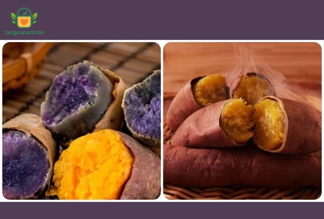 Khoai lang giúp cân bằng dinh dưỡng và tăng cân hiệu quả
