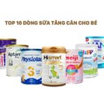 Trên thị trường hiện nay có rất nhiều loại sữa công thức khác nhau