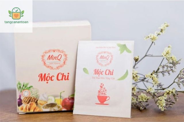 trà tăng cân mộc chi